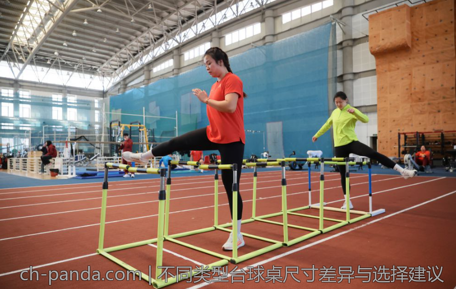 不同类型台球桌尺寸差异与选择建议