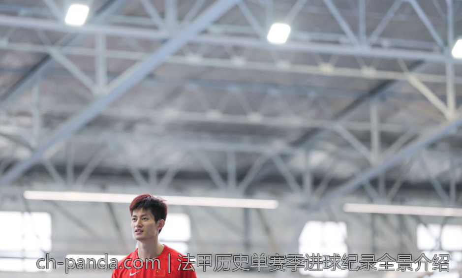 法甲历史单赛季进球纪录全景介绍