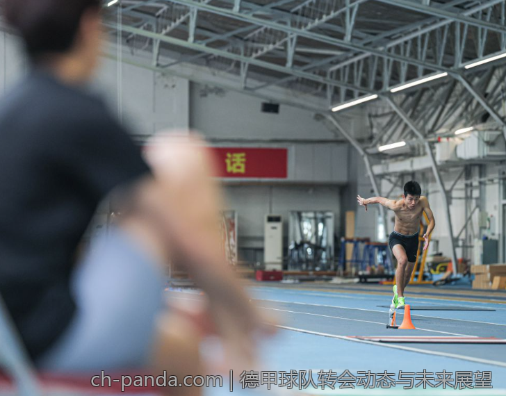 德甲球队转会动态与未来展望