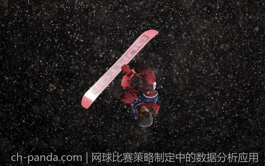网球比赛策略制定中的数据分析应用